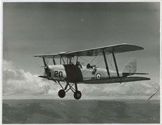 DH 82 Tiger Moth